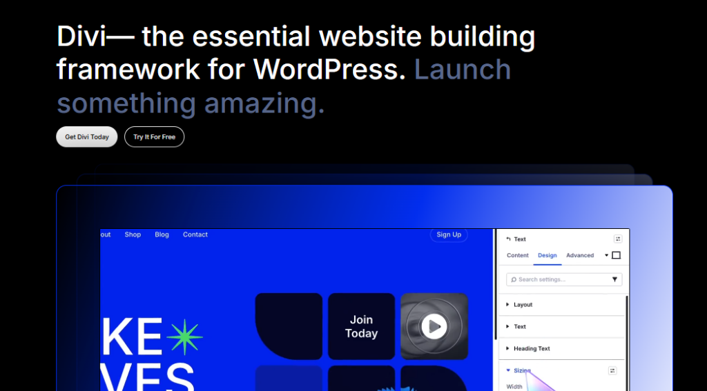 divi theme